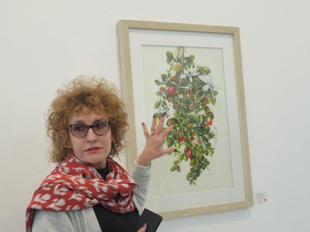 Botanical Artists Association of Southern Africa The Public's Choice