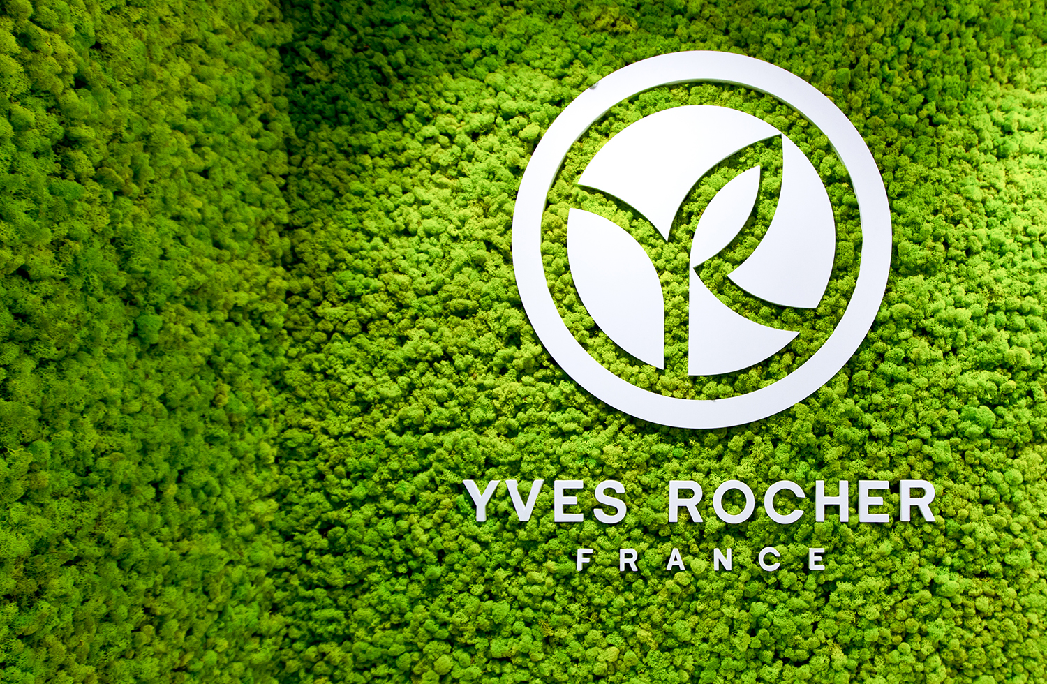 Ив роше тула. Ив роше бренд. логотип компании ив роше. ив роше реклама. yves rocher реклама.