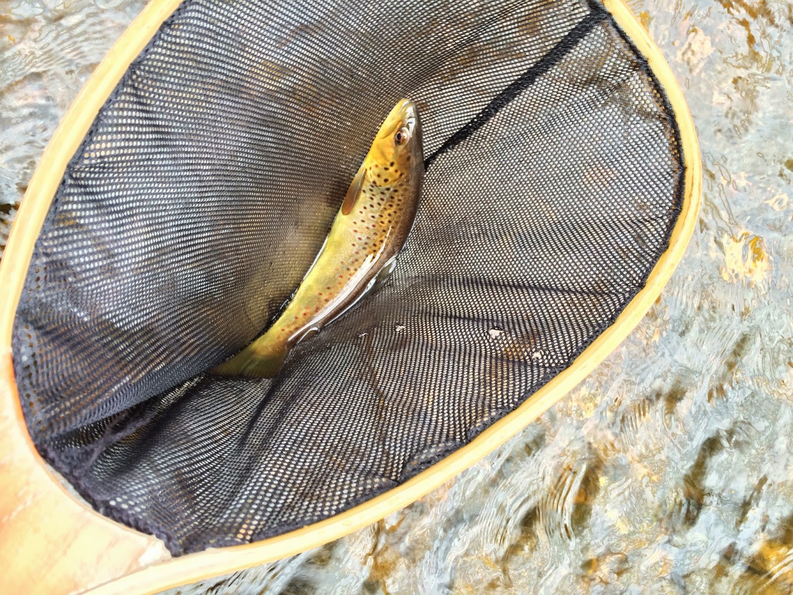 Quinapoxet River Fly Fishing Winter Weekends on the Quinapoxet