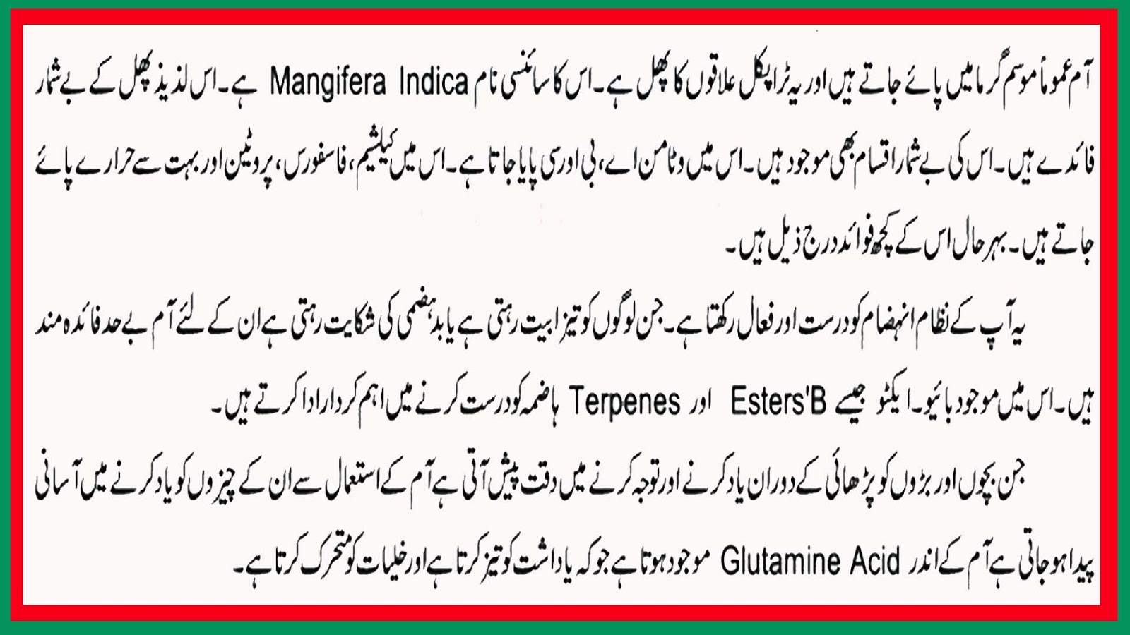 Benefits of Mango Badsha Health Tips In Urdu
