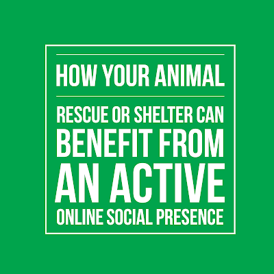 Marketing Delmarva: How Your Animal Shelter Can Benefit From An Active ...