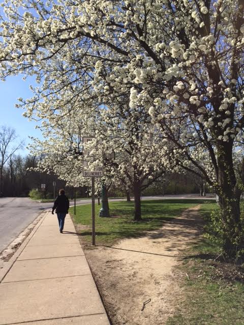 Lesa's Book Critiques: Springtime in St. Charles, Missouri