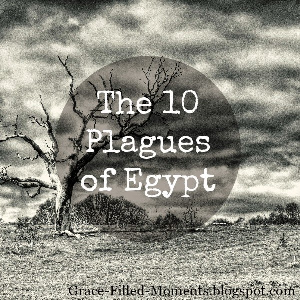 http://grace-filled-moments.blogspot.com/2015/01/the-10-plagues-of-egypt-blogging.html
