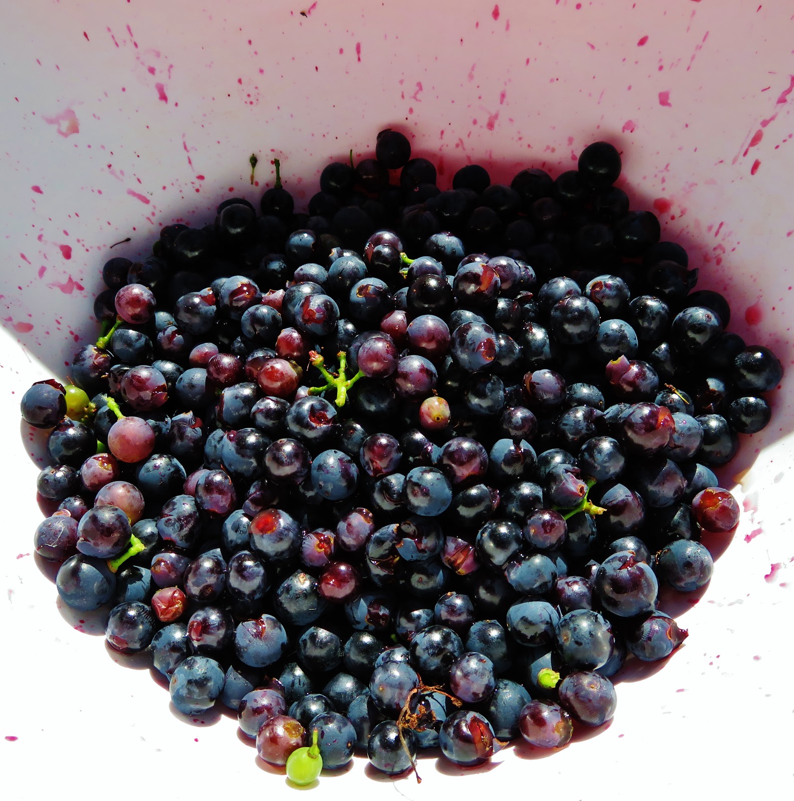 Patti Friday Spiced Grape Spread