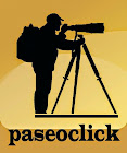 PaseoClick Fotográfico