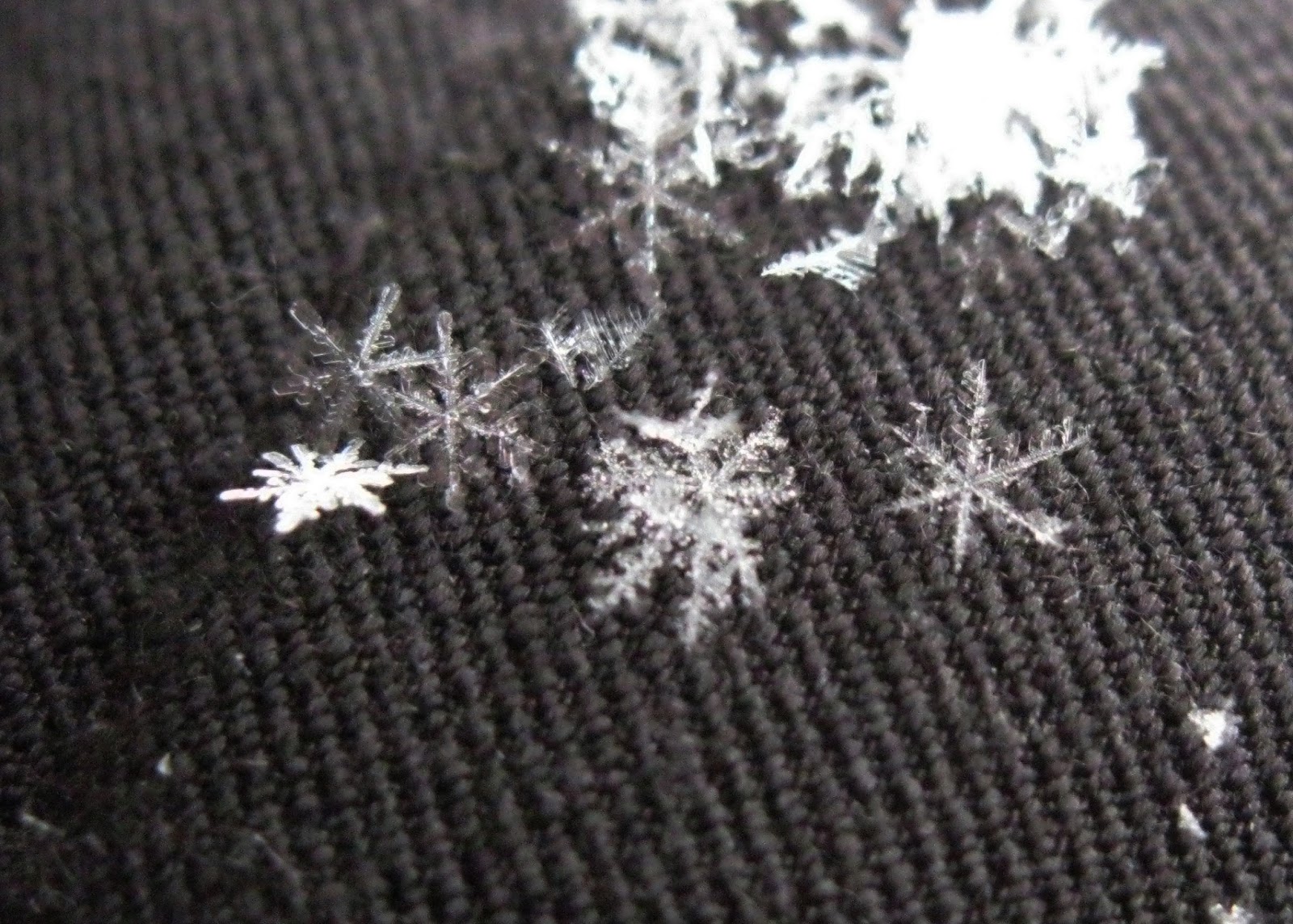 Macro lens snowflakes with Canon PowerShot A3100 IS [Stellar Neophyte Astronomy Blog]