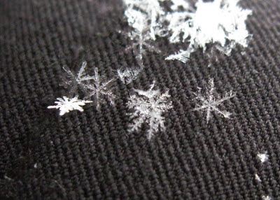 close up snow flakes with canon powershot