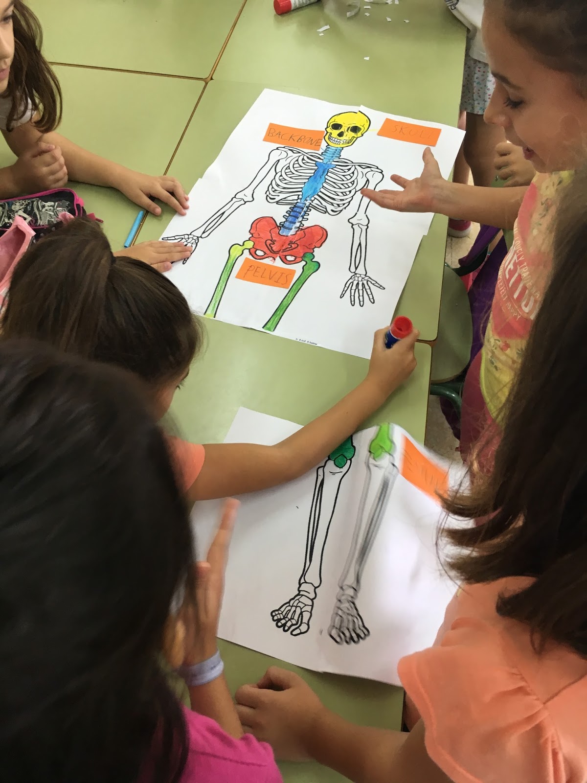 CEIP VIRGEN HUERTAS BILINGUE 5º HOW DOES THE BODY WORK?
