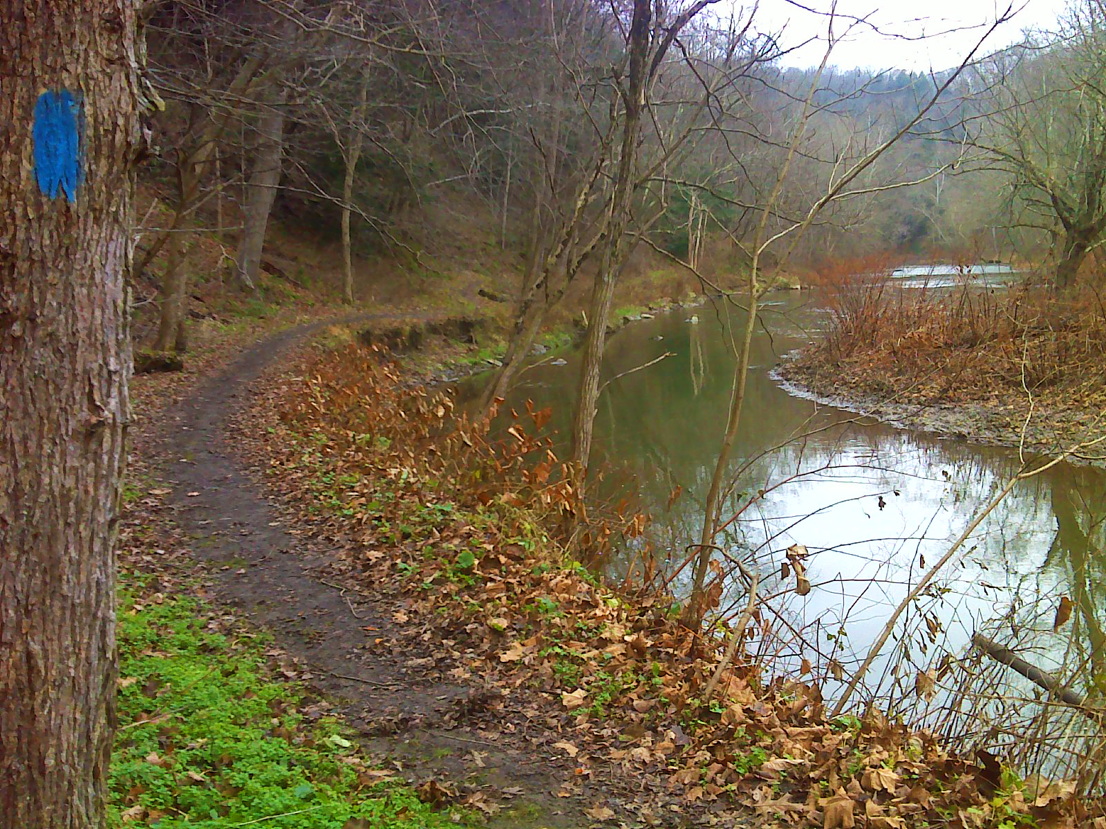 Heart and Sole: Hiking Beaver Creek State Park (and onward)