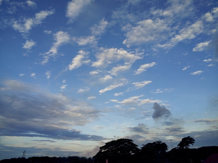 Primo G7 review Camera Sample 2