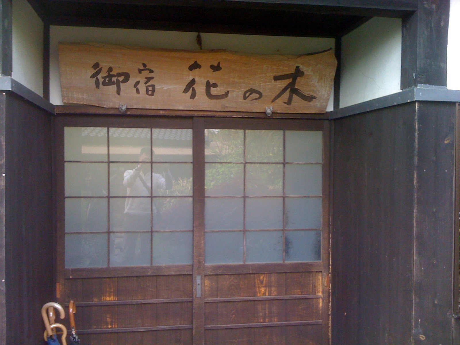 Andiamo A Bere 佐渡旅行 花の木 夜