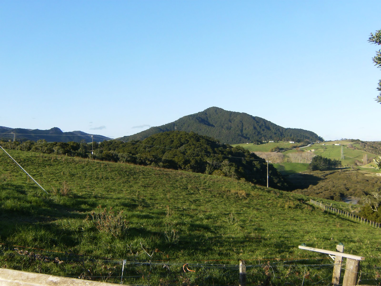 Aroha, Kinipela!