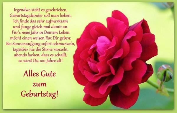Zum geburtstag... herzliche grüsse nur für dich! Irgendwo steht es geschrieben, Geburtstagskinder soll man liben - ツ