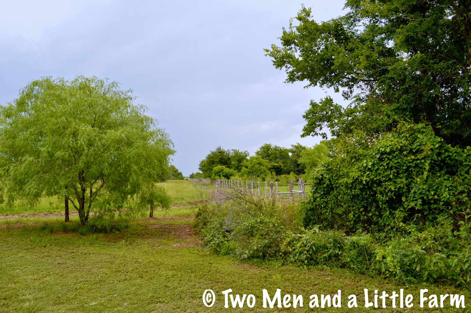 Two Men and a Little Farm RANDOM FARM PROPERTY PICTURES