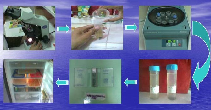 Contoh Langkahlangkah Penelitian Metode Ilmiah dalam
