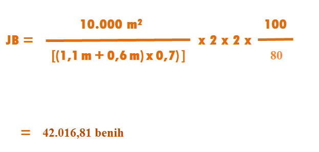 Kenapa Harus Pusing Begini Cara Menghitung Kebutuhan Benih Tanaman Per Hektar Cepat Dan Mudah Pupuk Lahan