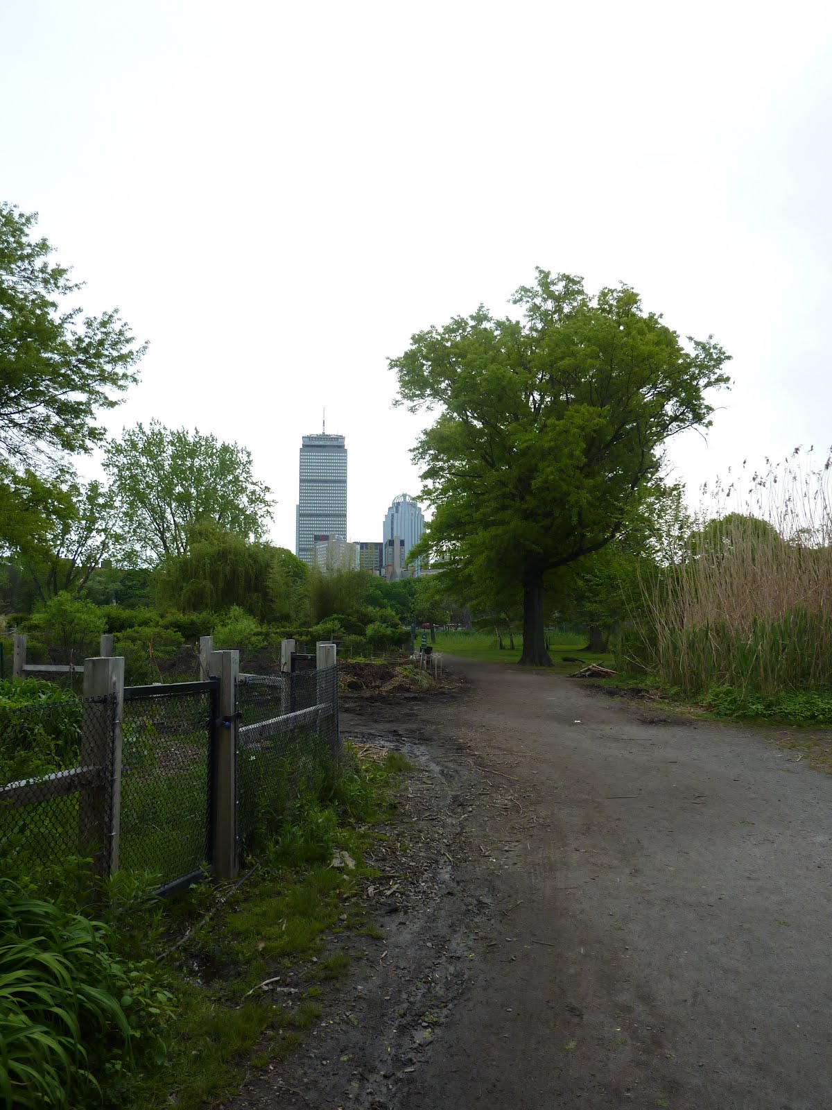 La petite vie de Benoît... Julie et David in Boston Part I