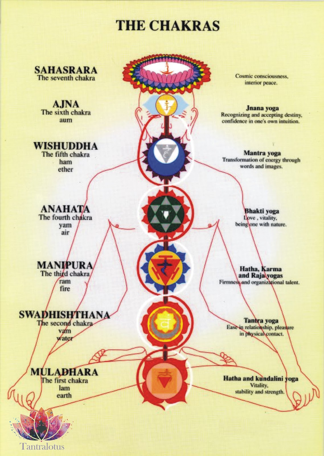 Tantra Luz de Shakti O QUE