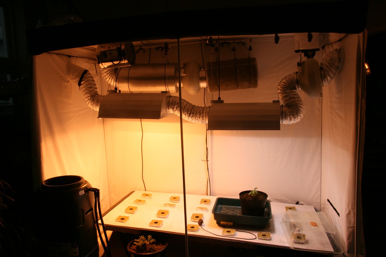 sophiepercival Growell Hydroponics Shop