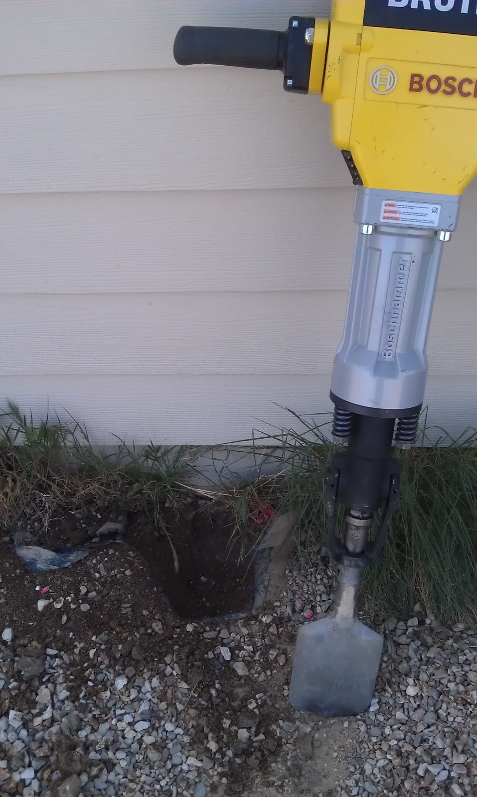 Backyard Chicken Ladythinking out loud The New Chicken Run