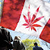El Senado de Canadá aprueba la marihuana con fines recreativos