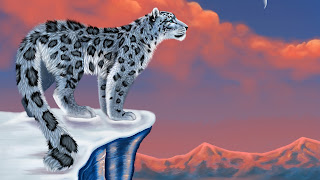 Leopard HD Wallpapers for Desktop 1080p free download