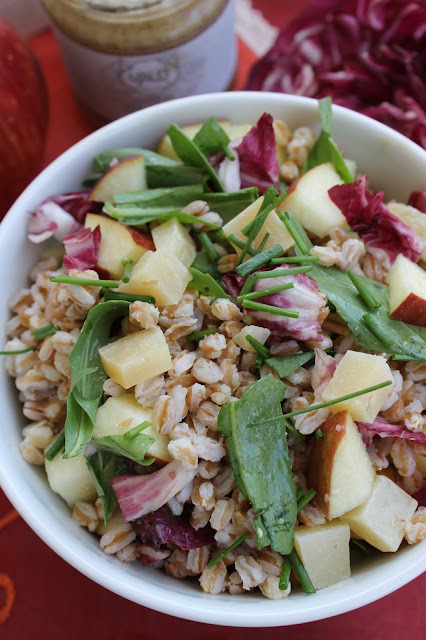 insalata di farro con pecorino e mela al pesto di noci