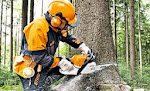 Manual do motoserrista  Stihl