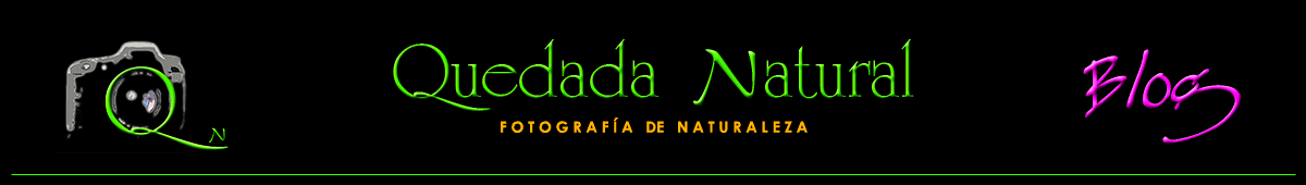 Quedada Natural