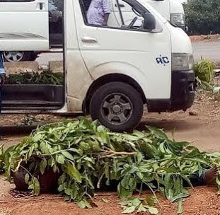 armed robbers kill soldiers kaduna