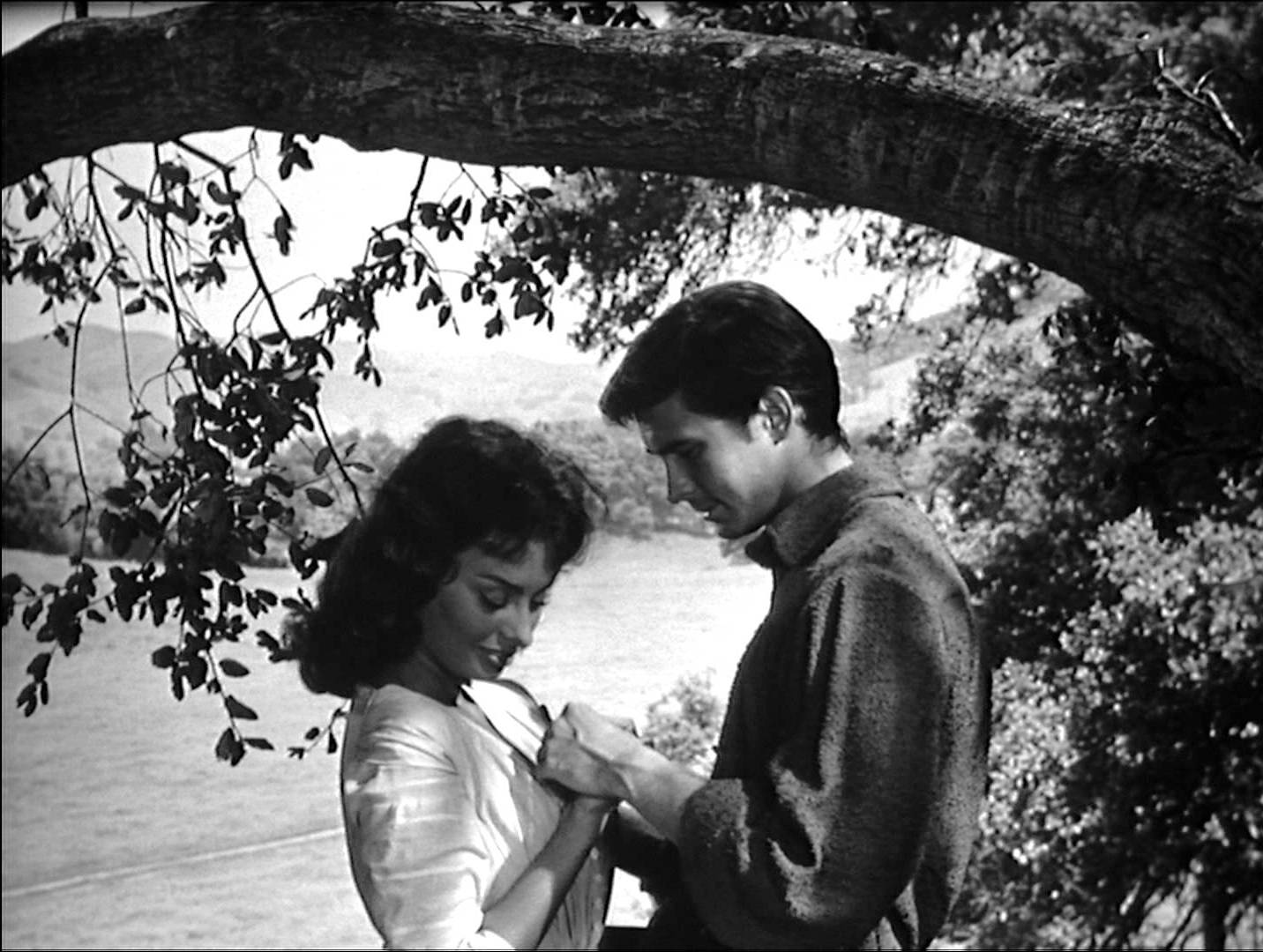 Любовь под вязами 1958. Софи лорен 1958. Софи лорен 1958. Софи лорен любовь под вязами. Содержание любовь под вязами.