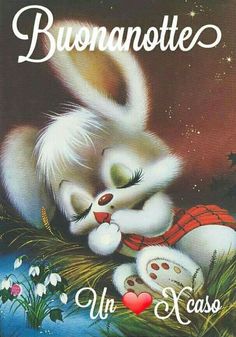 Digitando Buona Notte E Sogni Belli