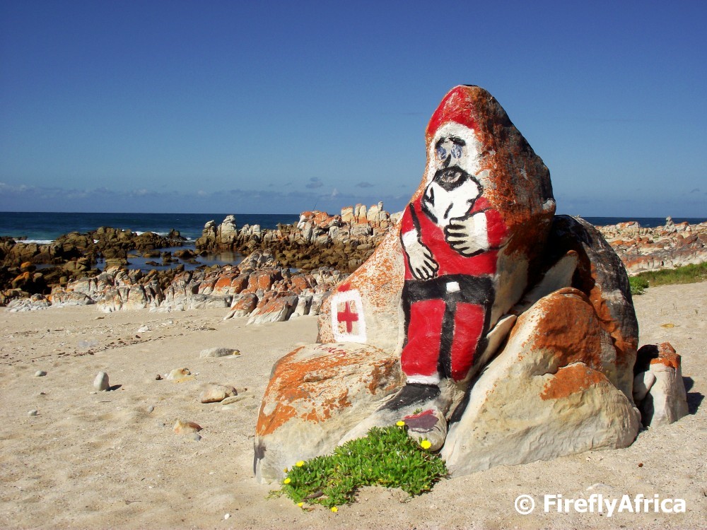 Port Elizabeth Daily Photo Merry Christmas (from a beach in Africa)