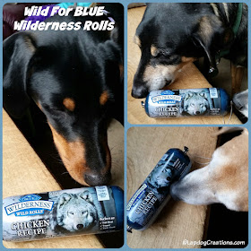 The Lapdogs are Wild for BLUE Wilderness Wild Rolls #BlueBuffalo #ChewyInfluencer #LapdogCreations ©LapdogCreations #sponsored