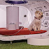 Samsung показва луксозна кучешка колиба на стойност 30,6 хиляди долара (видео)