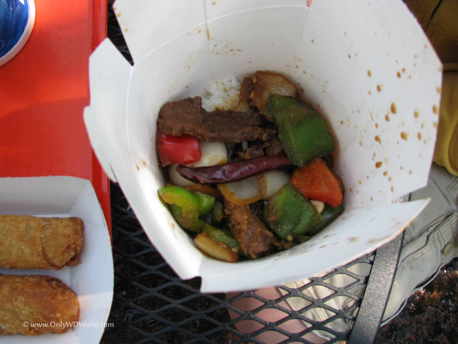 Disney World Dining Yak & Yeti Local Foods Café Disney World Blog