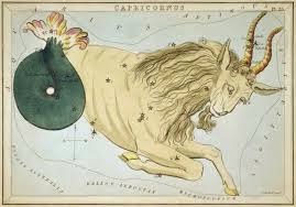 Horoscop ianuarie 2015 -Capricorn