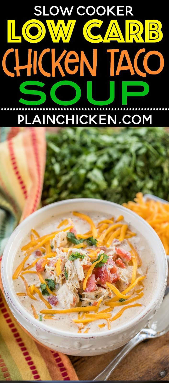 Slow Cooker LOW CARB Chicken Taco Soup | Plain Chicken