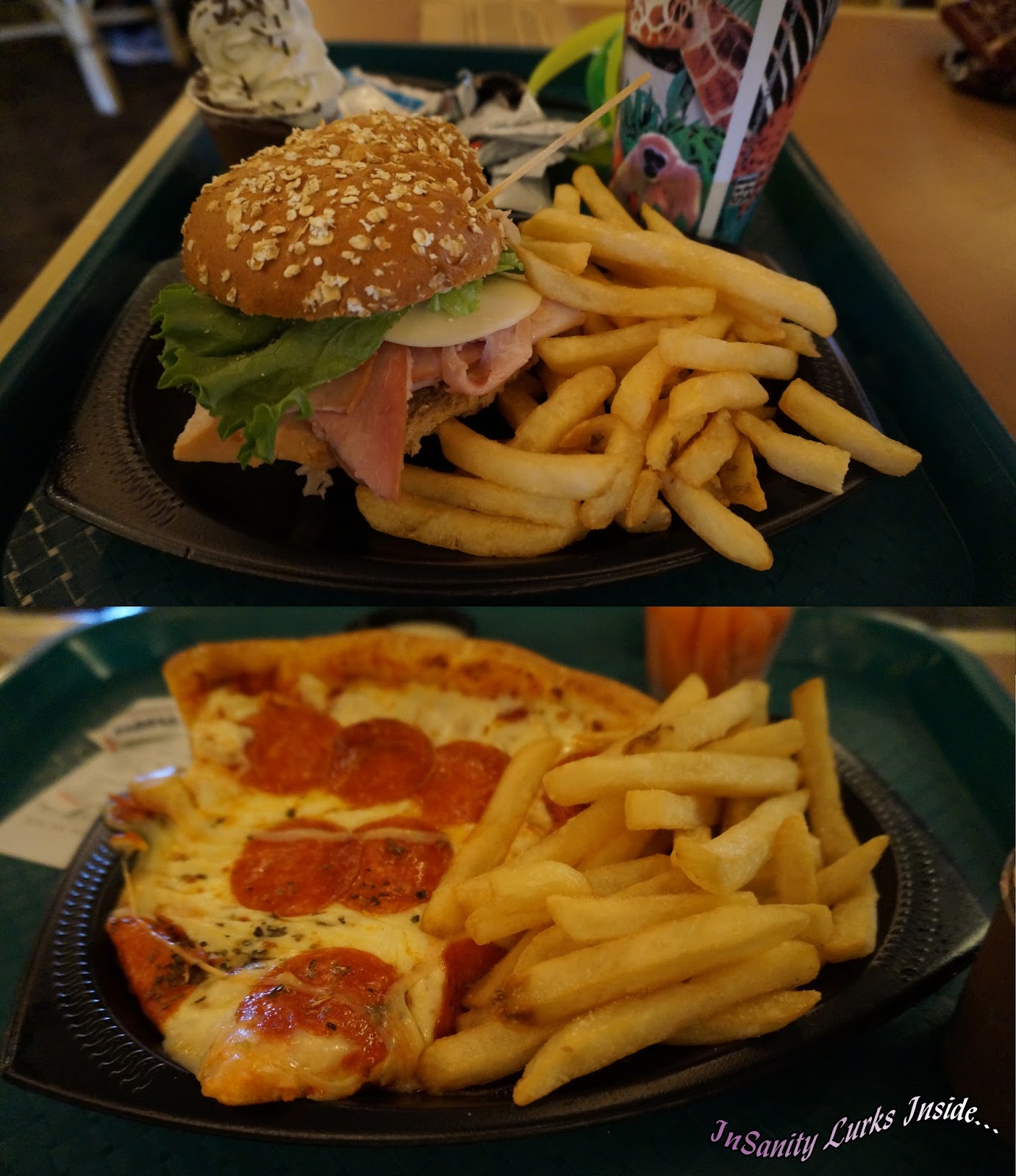 InSanity lurks Inside Park Review Busch Gardens Tampa