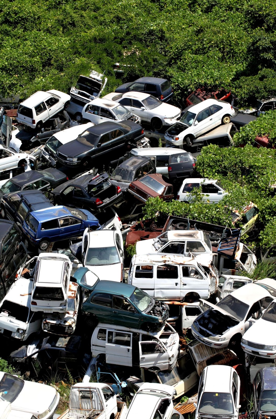 Salvage Car Auctions Public