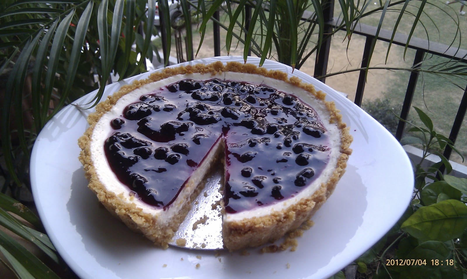 Yoghurt Blueberry Cheesecake