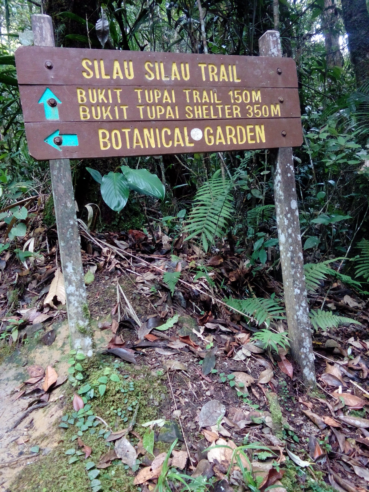 JALAN JALAN, MAKAN ANGIN jalan jalan ke Kota Kinabalu Sabah (part 3)