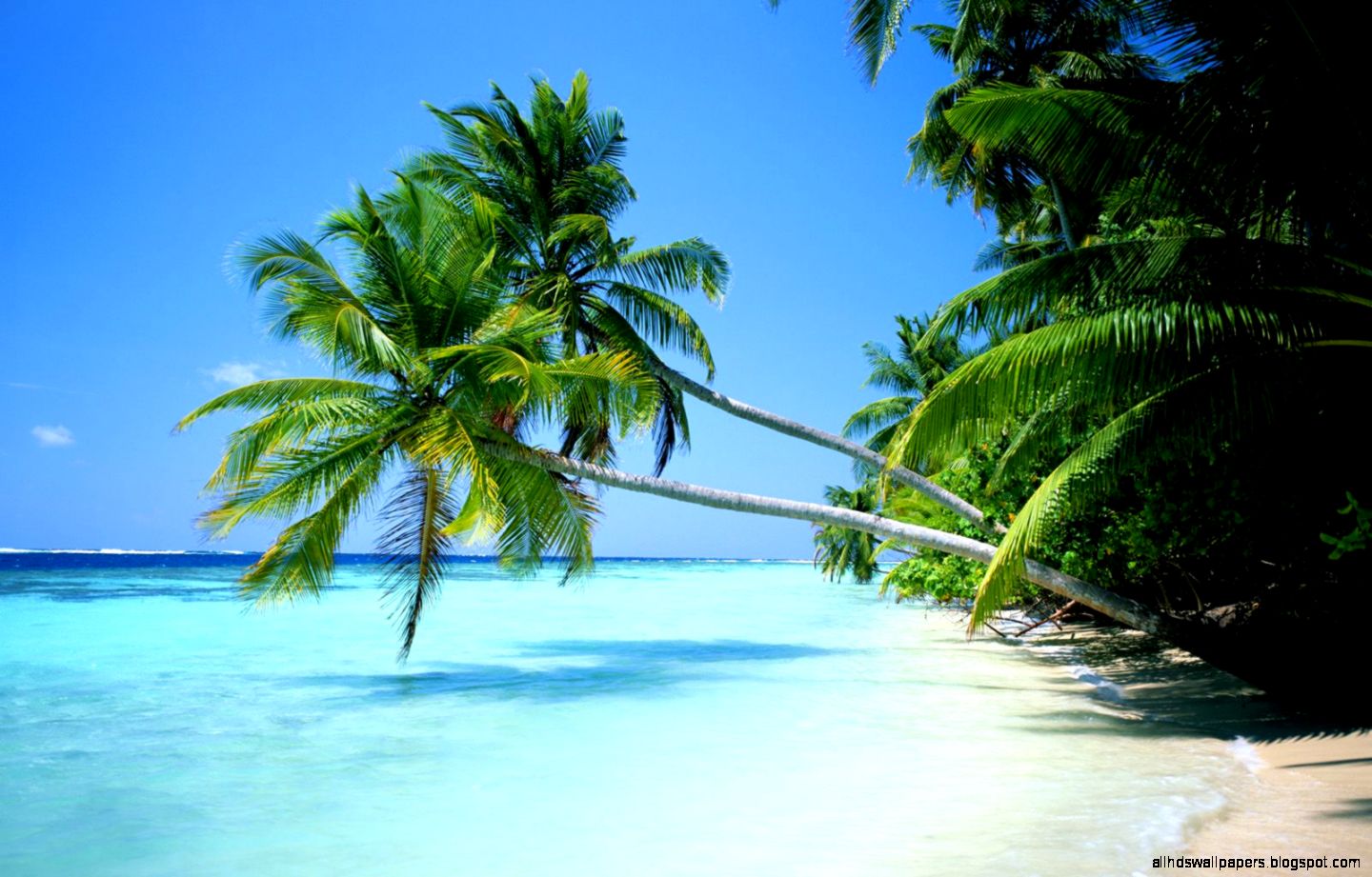 Hawaiian Desktop Wallpapers  Hd Wallpapers