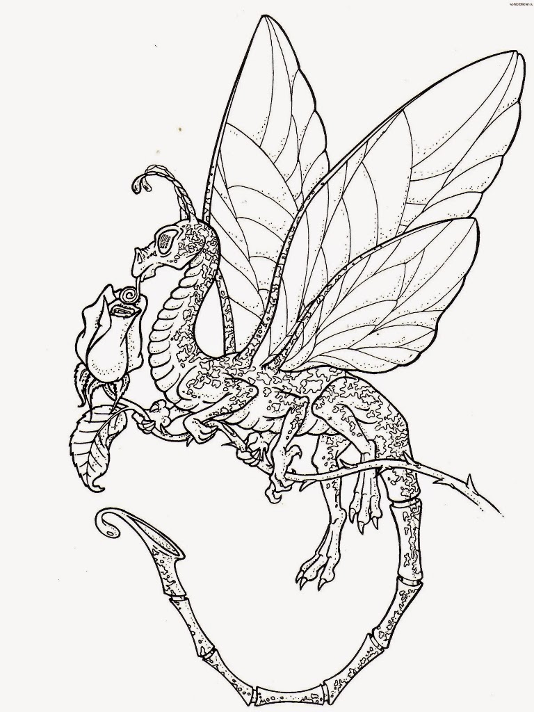 female dragon coloring pages coloring.filminspector.com