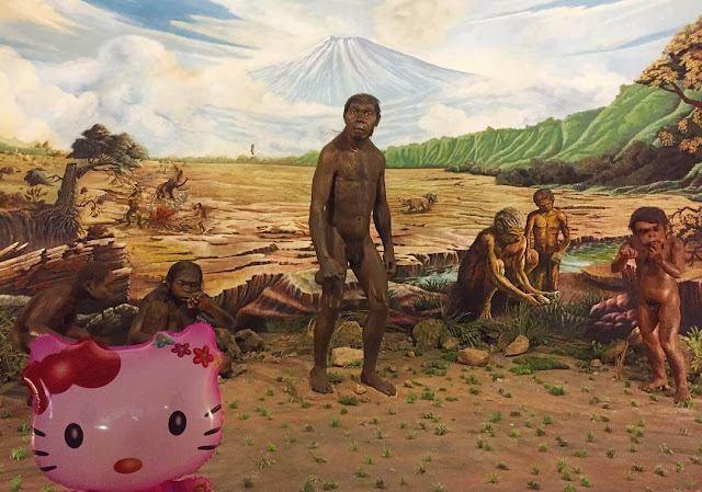 Museum Purba Sangiran, Museum Arkeologi Terlengkap di Asia