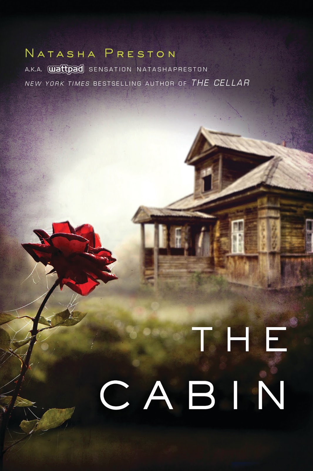 Itching for Books Review The Cabin by Natasha Preston