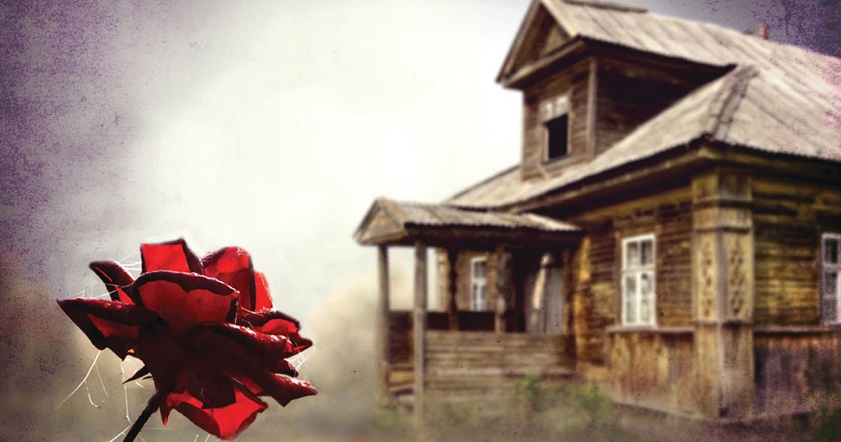 Itching for Books Review The Cabin by Natasha Preston