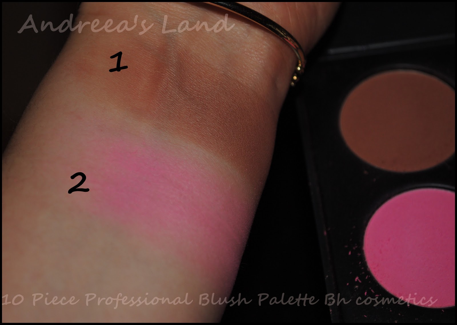 Review&swatches 10 Piece Professional Blush Palette BHcosmetics Andreea's Land ♥