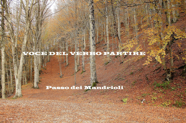 FOLIAGE AL PASSO DEI MANDRIOLI