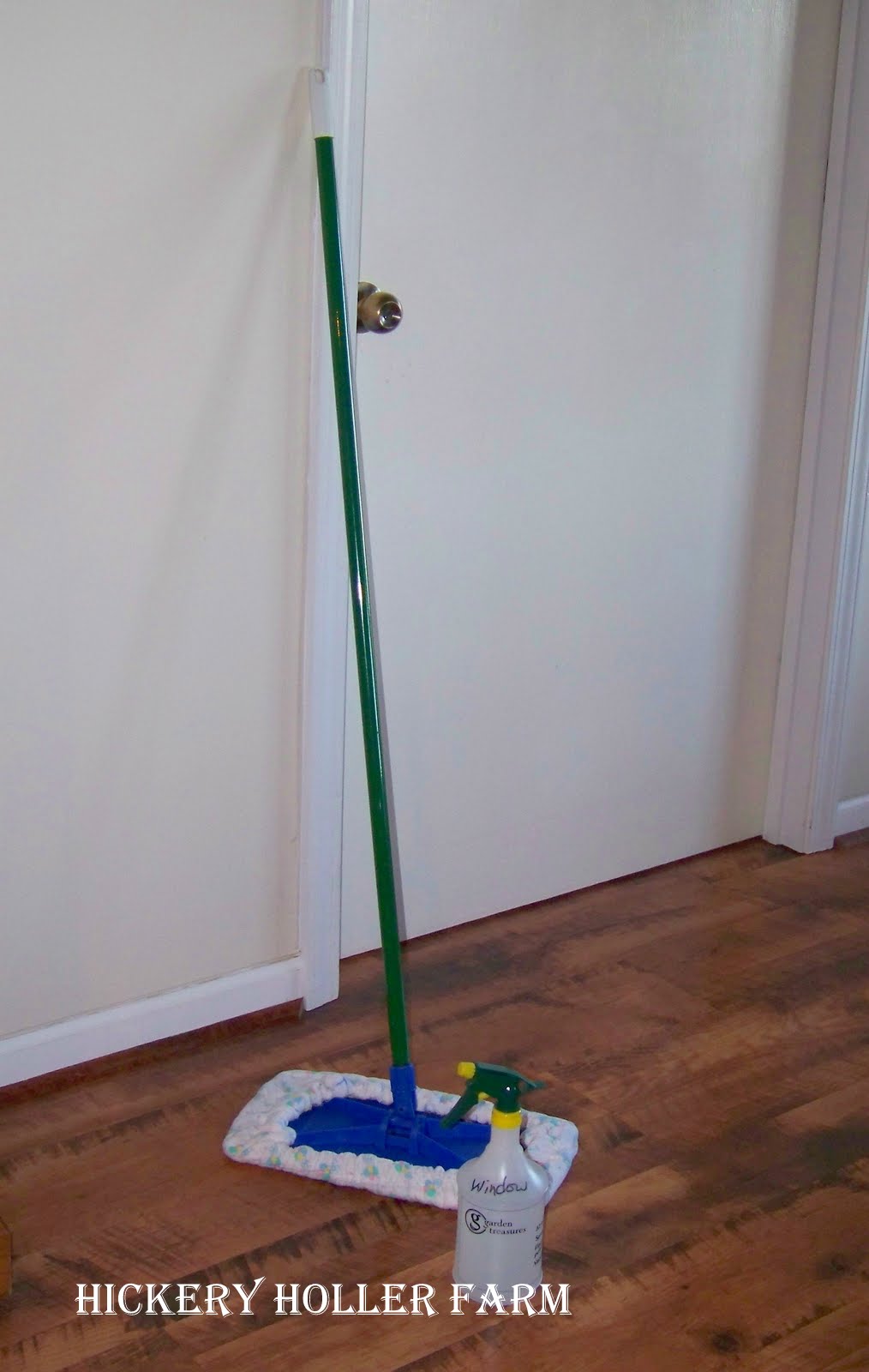 mopheads for sale near me